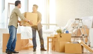 Removalist Bayswater